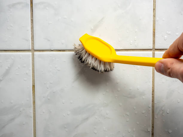 Best Local Mold Removal Service  in Massanutten, VA