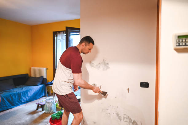 Best Office Mold Removal Services  in Massanutten, VA